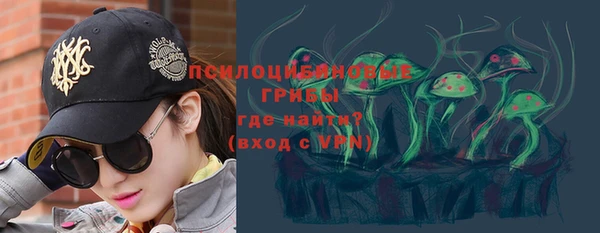 ГАЛЛЮЦИНОГЕННЫЕ ГРИБЫ Переславль-Залесский
