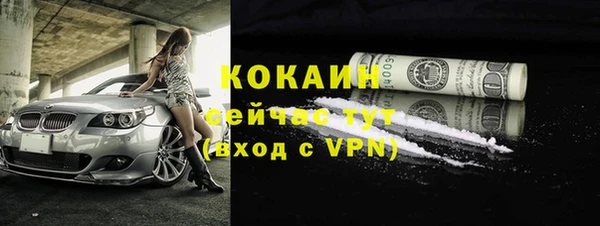 дурь Пестово