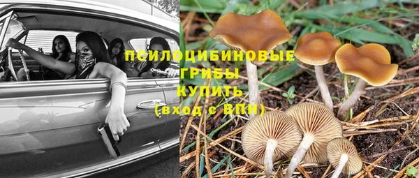 дурь Пестово