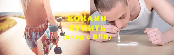 дурь Пестово