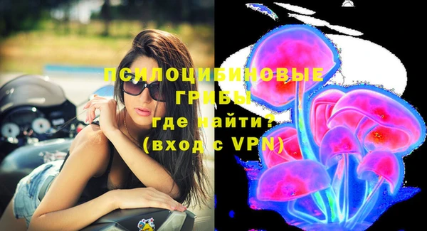 дурь Пестово