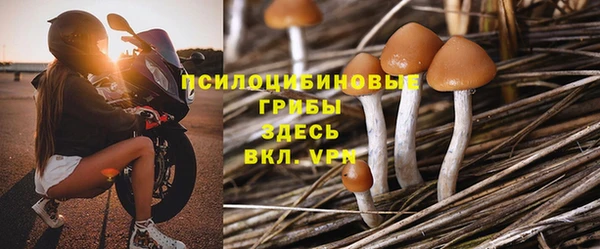 дурь Пестово