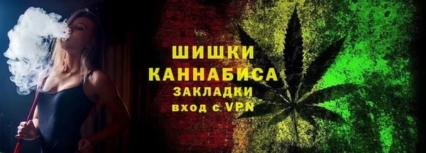 ГАЛЛЮЦИНОГЕННЫЕ ГРИБЫ Переславль-Залесский