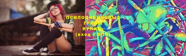 дурь Пестово