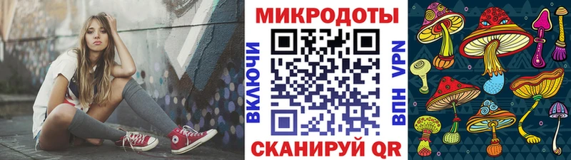 Купить  Красково  Псилоцибиновые грибы Psilocybine cubensis 
